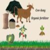 cow dung