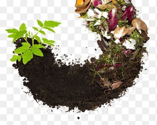 organic manure