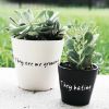 succulent mix