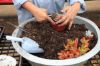 succulent mix