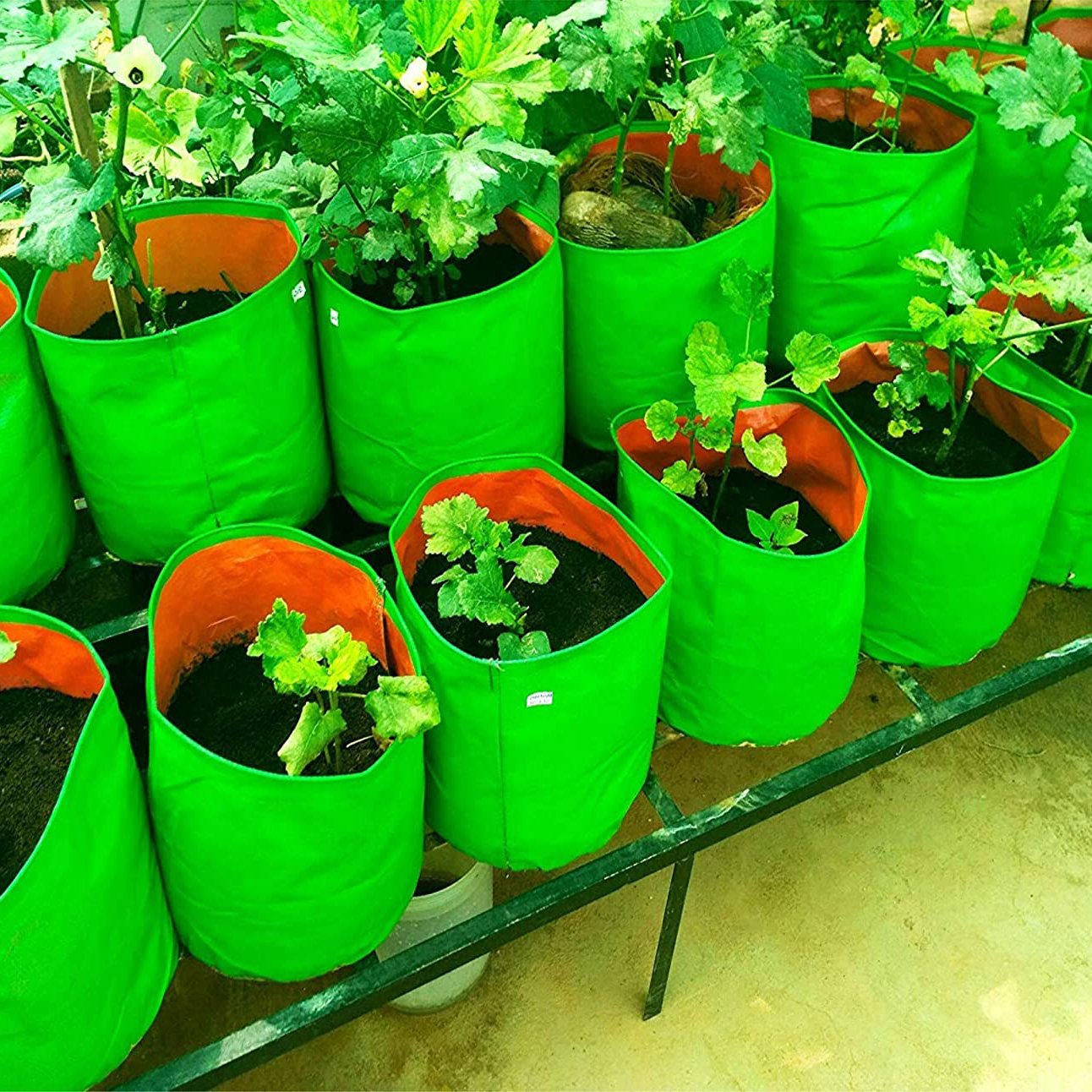 https://www.naviisha.com/images/thumbs/0000145_12-hdpe-grow-bags-9-x-12-inches.jpeg