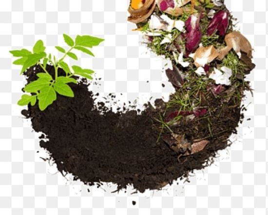 Picture of Organic Manure (1Kg)