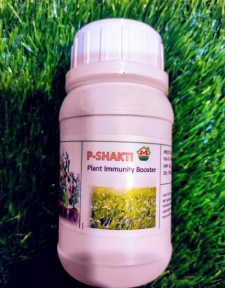 Picture of P- Shakti - Plant Immunity Booster (250ml)