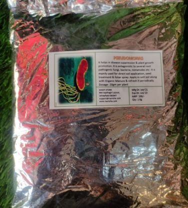 Picture of Pseudomonas- Highly Effective Against The Fungal Diseases (1Kg)