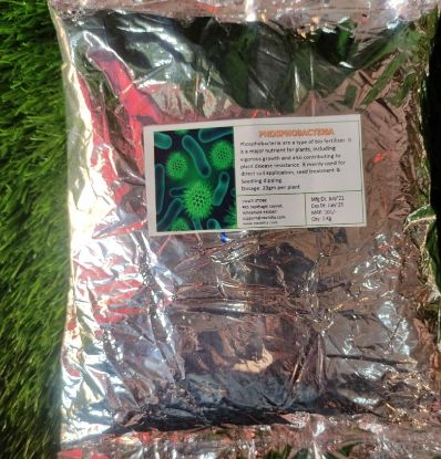 Picture of Phosphobacteria - Phosphorous Fixing Bio Fertilizer (1Kg)