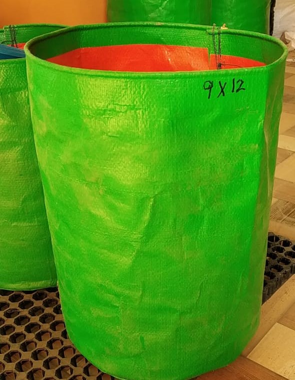Share 71+ grow bags images latest - in.duhocakina