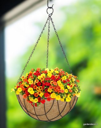 Picture of Coir Hanging Basket (12")