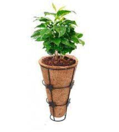 Picture of Conical Coir Basket with Stand, Flower Basket, Wall Mountain Coco Pots (Diameter 15 cm, Height 23 cm) 