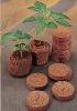Picture of Cocopeat Pellets- 40mm (10Pcs)