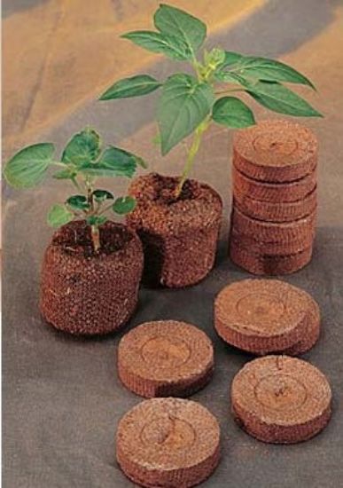 Picture of Cocopeat Pellets- 40mm (10Pcs)