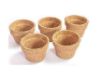 Picture of Coir Seedling Cup- 4 inch ( Set of 5 Pieces)