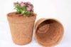 Picture of Coir Pot 5 inch - 2 Nos, Coco Basket for Gardening Plants & Flowers, Planters