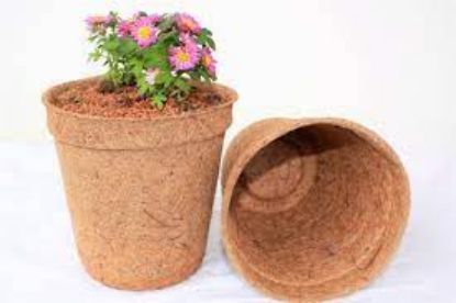Picture of Coir Pot 5 inch - 2 Nos, Coco Basket for Gardening Plants & Flowers, Planters