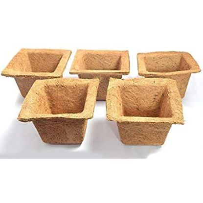 Picture of Coir Spanish Pot (6inch) - 5 pcs