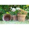 Picture of Coir Pot 8 inch- Eco-Friendly- Biodegradable