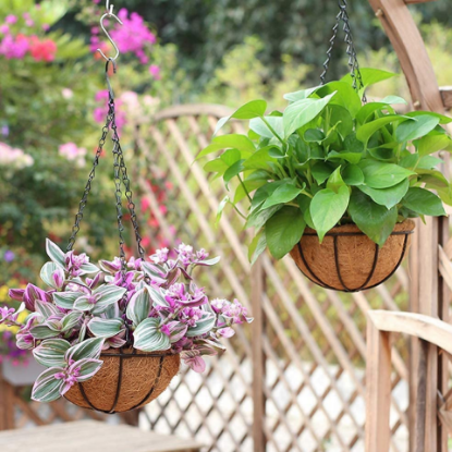 Picture of Coco Hanging Basket 8" (Set of 2)