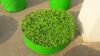 Picture of 18 X 09 Inch(Dia X Height) HDPE Grow Bag(Round) - 220 GSM