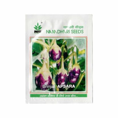 Picture of Namdhari Round Brinjal Seeds