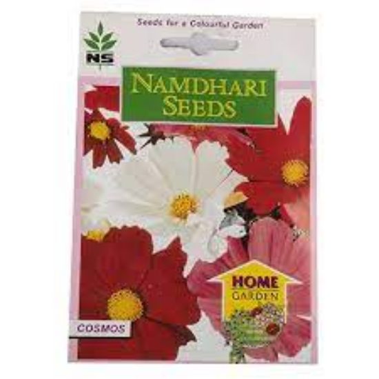 Picture of Namdhari Cosmos Seeds
