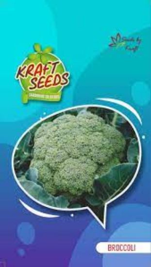 Picture of Kraft Broccoli Seeds