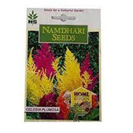 Picture of Namdhari Celosia Plumosa Seeds