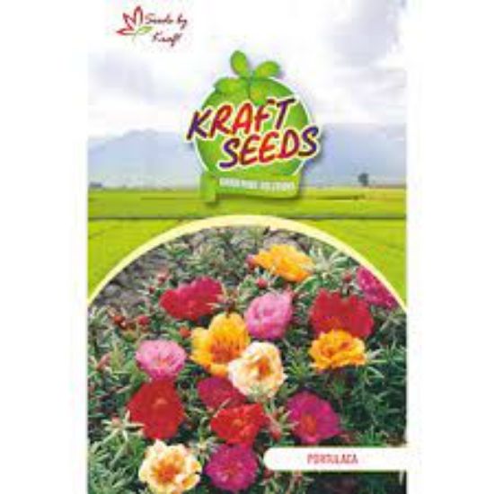 Picture of Kraft Portulaca seeds