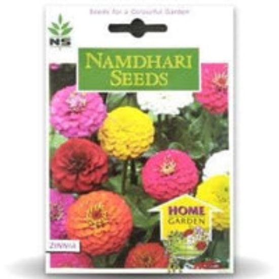 Picture of Namdhari Zinnia-Zahara Double Mix