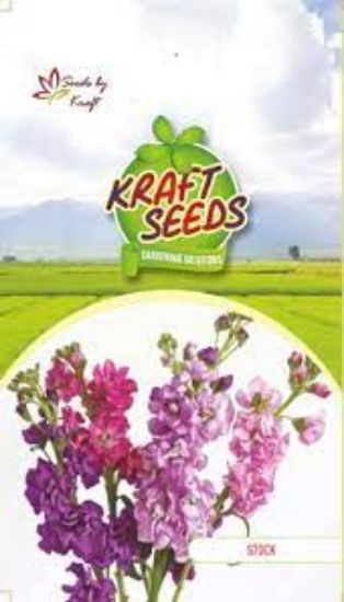 Picture of Kraft Stock Seeds
