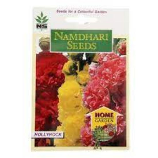 Picture of Namdhari HollyHock Seeds