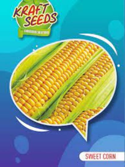 Picture of Kraft Sweet Corn Seeds