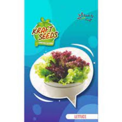 Picture of Kraft Lettuce Seeds