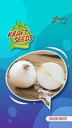 Picture of Kraft Onion White