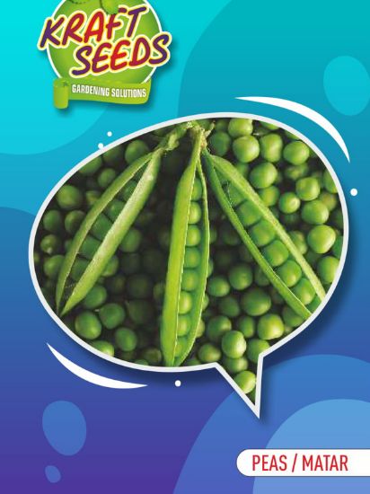Picture of Kraft Peas/Matar Seeds