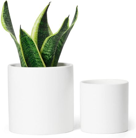Picture for category Ceramic Planters