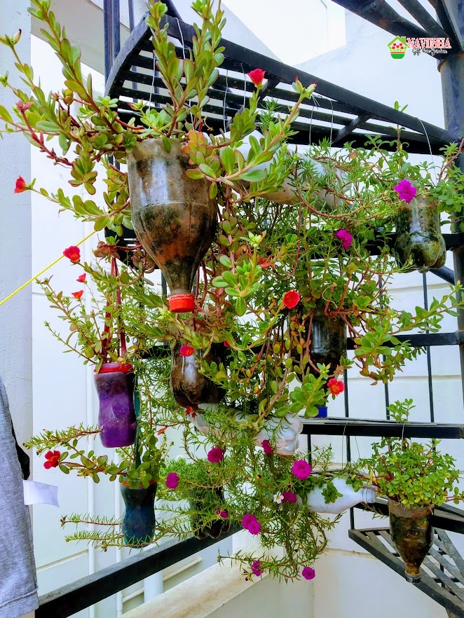 hanging pot